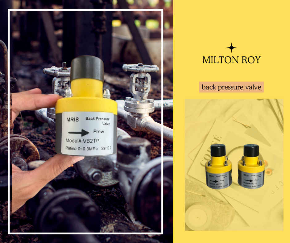 bv2tp back pressure valve